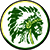 Lyme Central School District logo 